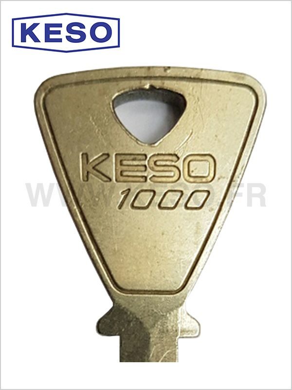 keso 1000